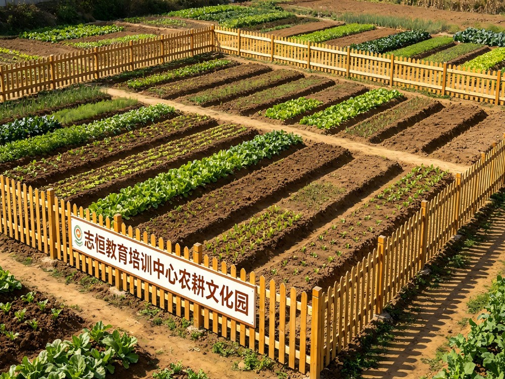 延安全封闭管教学校怎么选:志恒教育培训学校深度解读